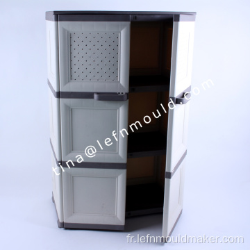 Fabricant de moules d&#39;armoires de rangement en plastique